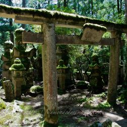 Ancien Torii de pierre et lanternes couvertes de mousses au cimetière Okuno-In.