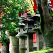 Alignement de lanternes de pierre et temple de bois rouge au sanstuaire Kasuga Taisha.